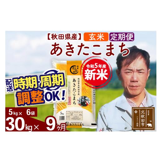 ふるさと納税 秋田県 北秋田市 《定期便9ヶ月》＜新米＞秋田県産 あきたこまち 30kg(5kg小分け袋) 令和5年産 お届け時期選べる 隔月お届けOK お米 み…