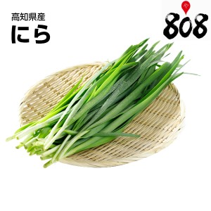 送料別 高知県産 ニラ 1パック 約100g 野菜詰め合わせセットと同梱で送料無料 おうち時間 巣ごもり消費 自炊 フードロス 野菜 や 通販 Lineポイント最大get Lineショッピング
