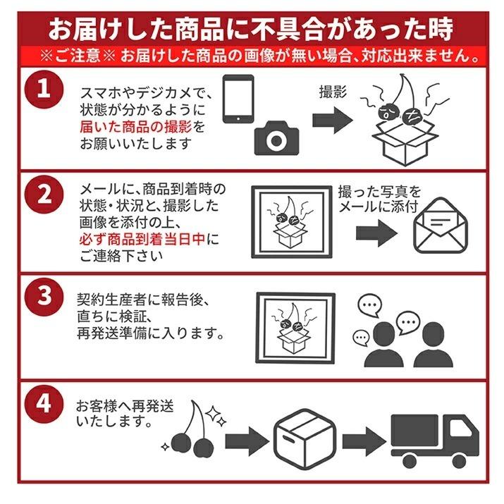 さくらんぼ 佐藤錦 700g バラ詰め 山形 訳あり 2024 山形県産 サクランボ ご家庭用 送料無料 取り寄せ (遠方送料加算)