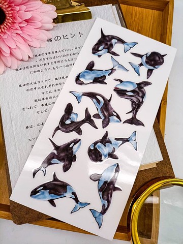 5K070-35_五口美-乾式轉印貼紙_ I am pretty Transfer Sticke