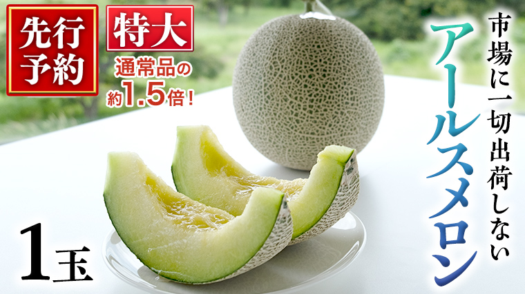  秋にお届け！  リピーター 多数 の 完熟 特大 アールスメロン １玉入箱 茨城 メロン 青肉 期間限定 数量限定 マスクメロン [AF087ci]