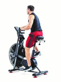 Schwinn AD8 風扇健身車