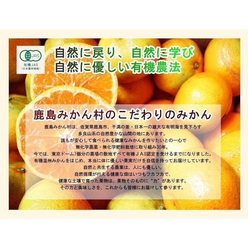 フルーツ レモン 有機リスボンレモン 佐賀県 鹿島市 有機みかん佐藤農場 有機栽培 リスボンレモン 10kg 採りたてを農園から産地直送 送料無料