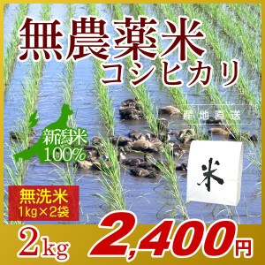 お米 2kg 無洗米 農薬不使用米 希少米コシヒカリ (1kg×2袋) エコ梱包 令和5年産 新米   1kg小分け 米 新潟米 ブランド米 アイガモ農法