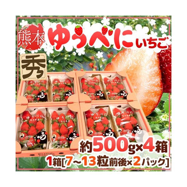 熊本県 ”ゆうべにいちご（熊紅いちご）” 秀品 2パック入り（1パック 7〜13粒 約250g）×《4箱》 送料無料