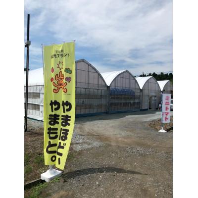 ふるさと納税 山元町 山のふ元のあまトマト(フルティカ・小鈴の詰め合わせセット)