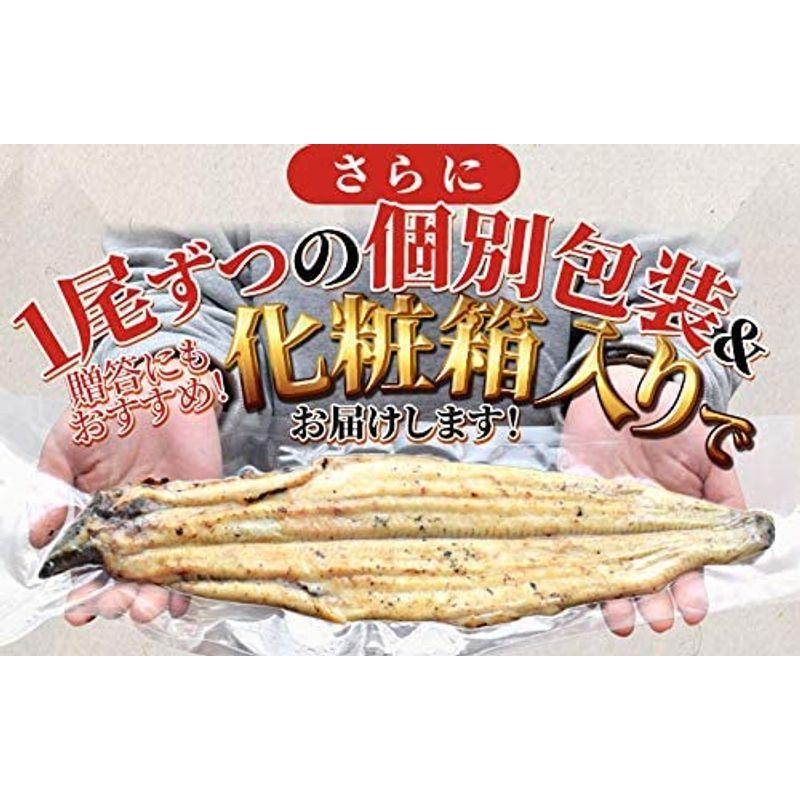 うなぎ 伊勢志摩産 白焼き 中サイズ ２尾 冷凍 国産 ウナギ 鰻 蒲焼き 丑の日 個包装 冷凍 化粧箱入 ギフト プレゼント