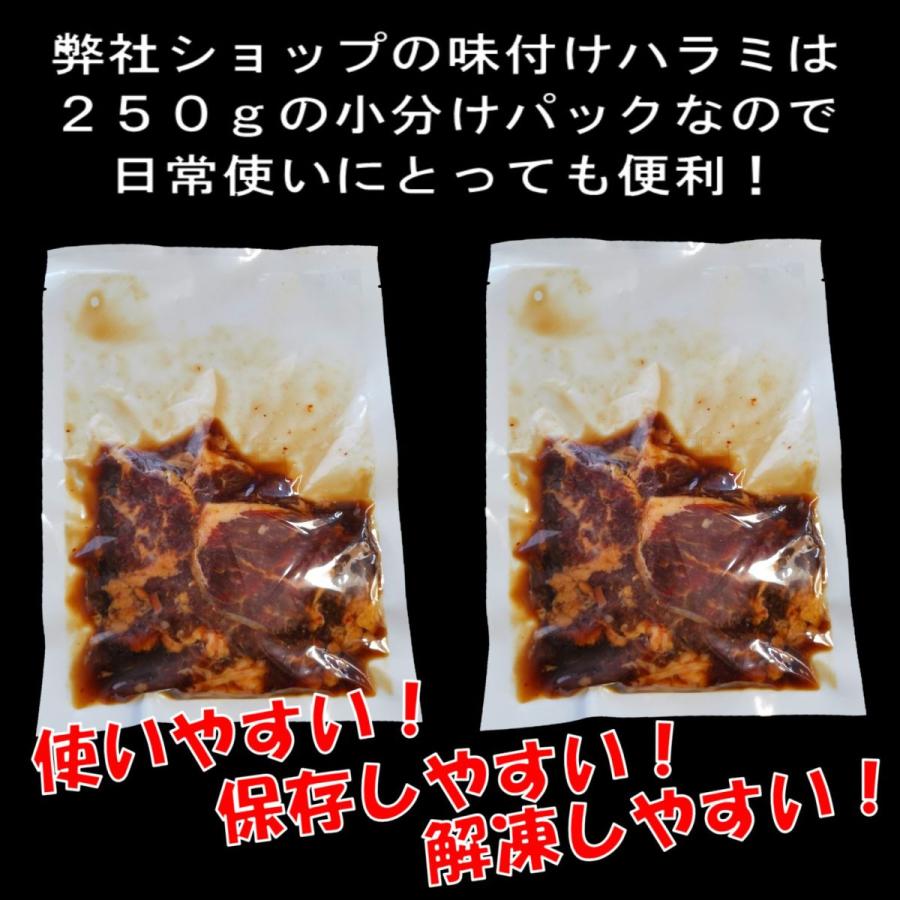 肉 バーベキュー 食材 牛肉 焼肉セット バーベキュー 肉 味付け ハラミ BBQ 肉 バラ カルビ バーベキューセット 食材 焼肉 BBQ 食材 1kg 4〜6人前