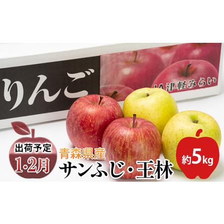 ふるさと納税 年明け サンふじ×王林 約5kg  青森県平川市