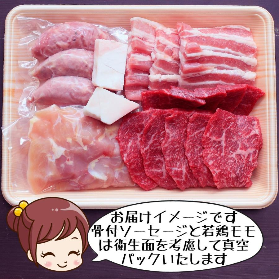 バーベキューセットD 約３人前 焼肉用