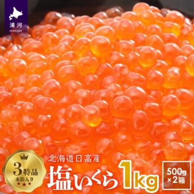 ふるさと納税 浦河町 塩いくら(500g×2箱)木箱入り(3特品)[02-499]