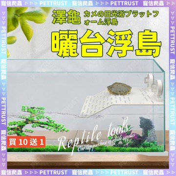 【台灣現貨】烏龜浮島 澤龜曬臺 水龜浮台 烏龜曬臺 水龜曬台 水龜浮島 超強吸盤固定 階梯式浮板 浮台 烏龜浮臺 烏龜島