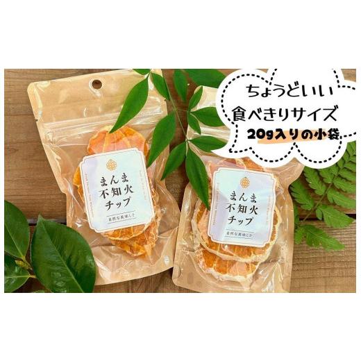 ふるさと納税 和歌山県 有田川町 ドライフルーツ しらぬいチップ 100g 20g × 5袋 和歌山県産 果物使用 自社製造 