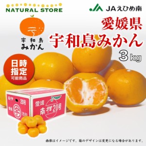 [予約 2023年 11 20頃より発送] 宇和島みかん SML 約3kg 愛媛県 産地箱 うわじま レギュラー デイリー 早生 南柑20号ミカン