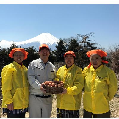 ふるさと納税 忍野村 富士山の恵”忍野のたまご”‐コクの赤玉‐80個入