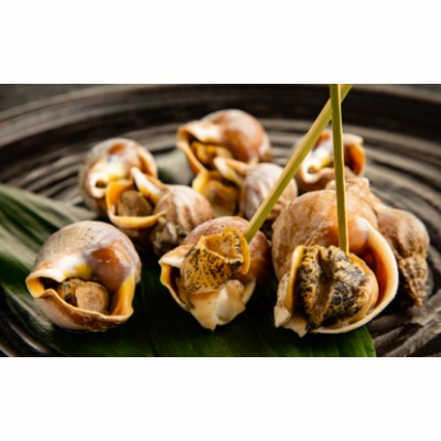10-315 エゾばい貝(磯ツブ)【醤油煮】1.5kg（300g×5）