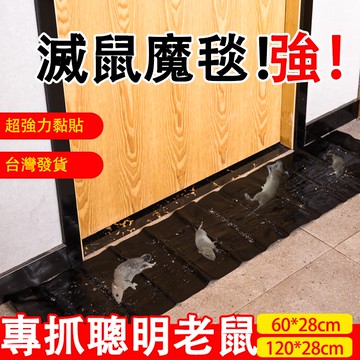 特長型滅鼠貼【臺灣現貨】買十送一  進口膠水 粘鼠貼 滅鼠 黏鼠闆 老鼠闆  捕老鼠 老鼠闆  抓老鼠 老鼠貼 老鼠膠水