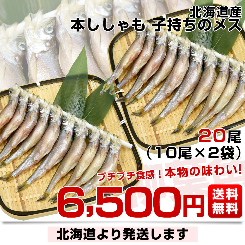 北海道より直送 北海道産 本ししゃも 子持ちのメス 20尾（10尾×2入り） 送料無料 北柳葉魚 本シシャモ