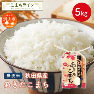 ふるさと納税 令和5年産 秋田県産 あきたこまち5kg 秋田県潟上市