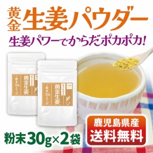 生姜 パウダー 送料無料 ジンジャー 粉末 国産 30g×2袋 国産 ショウガ