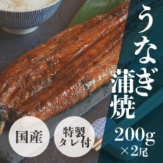 国産・活うなぎ蒲焼(200g×2尾、特製タレ付き)大サイズのうなぎを1尾丸ごとお届け