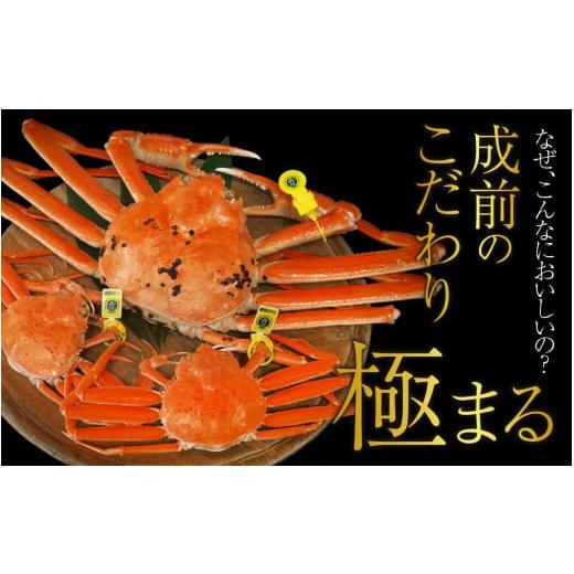 ふるさと納税 福井県 福井市 美味しさ直送！ 越前がに（1.3kg〜1.4kg）×2杯捌…