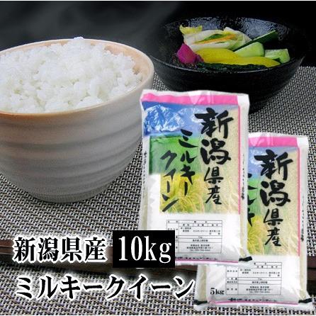 新米 米 10kg 新潟産ミルキークイーン 令和5年産 白米 送料無料（北海道・九州・沖縄は除く）離島は発送不可