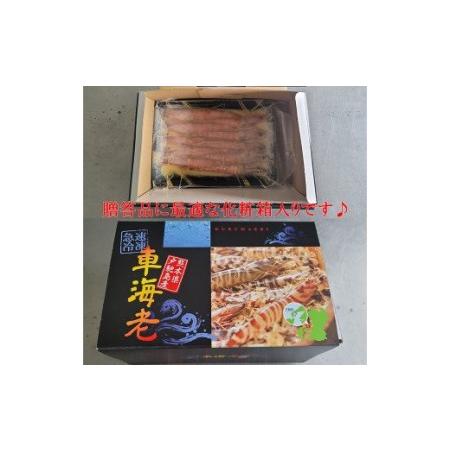 ふるさと納税 車海老の味噌漬（中〜大サイズ）計750g（250g×3）海老 えび 味噌漬け 熊本県宇城市