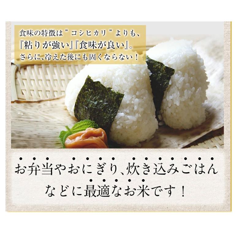 令和5年産 千葉県産 理想郷 ミルキークイーン 10kg（5kg×2） 千葉大学共同研究米