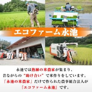 ふるさと納税 isa400 令和5年産 新米 特別栽培米 永池ひのひかり玄米(5kg) 鹿児島でも極良食味のお米が出来る永池地区で作ったお米！九州米サ.. 鹿児島県伊佐市