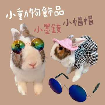 哈密兔事·兔子飾品區｜兔兔墨鏡 帽子  兔兔打扮區 兔子拍照龍貓拍照用品 兔用品、倉鼠龍貓拍照頭飾裝扮