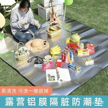 ⚡臺灣24h⚡防潮墊加厚戶外大學生宿捨神器寢室防黴防水野餐墊子帳篷鋁膜睡墊 FAET