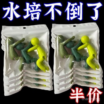 水培植物伴侶扶正固定魚缸植物辦公裝飾理綫園藝神器水培固定擺件🔥三月放送 BE3D