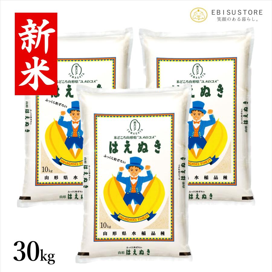 米 お米 30kg 10kg×3袋 はえぬき 白米 玄米 山形県産 送料無料 新米 令和5年