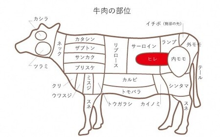 鳥取和牛　ヒレステーキ6回定期便お肉 肉 牛肉 和牛 鳥取和牛 牛肉 肉 国産 お肉 冷凍ヒレ ステーキ 牛肉 ヒレ 定期便 牛肉 定期便 6回