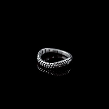 【JK銀飾】莫比烏斯無限龍鱗 / 925純銀【戒指、尾戒】