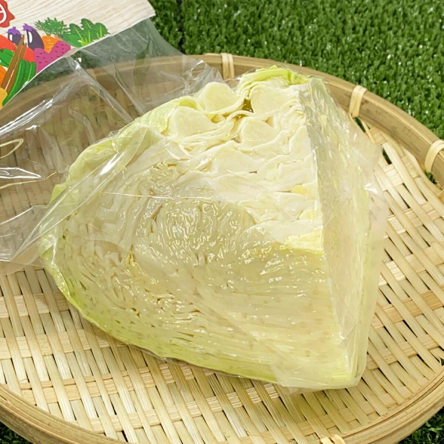  カット野菜BBQ  通販 野菜セット 詰め合わせ 九州 お買い得  コロナ 対策 一人 暮らし 仕送り プレゼント