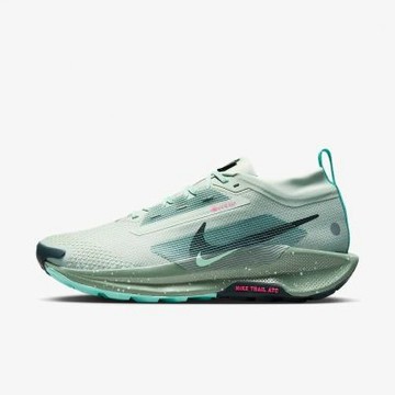 NIKE PEGASUS TRAIL 5 GTX 男鞋 慢跑鞋 運動鞋 越野 防潑水 綠-FQ0908013