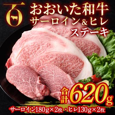 ふるさと納税 佐伯市 おおいた和牛 サーロイン ヒレ ステーキ セット (合計620g)