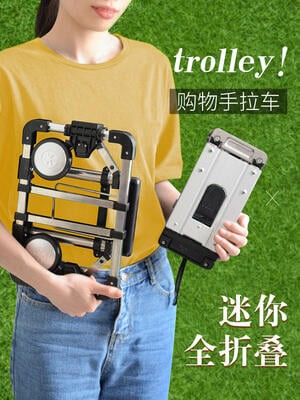 【可開發票】迷你買菜小拉車可摺疊便攜手拉車家用購物拉貨拖車搬運行李拉桿車