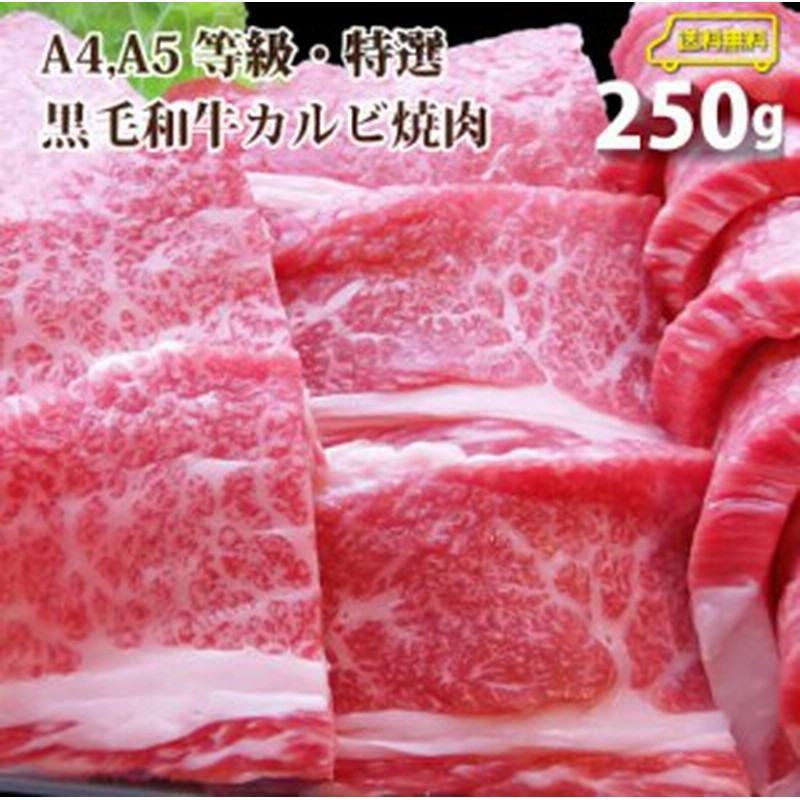 A5等級 特選 黒毛和牛 カルビ焼肉 250gお中元 肉 ギフト A5等級 牛肉 送料無料 霜降り 贅沢 黒毛 和牛 国産 お歳暮 祝い 通販 Lineポイント最大1 0 Get Lineショッピング
