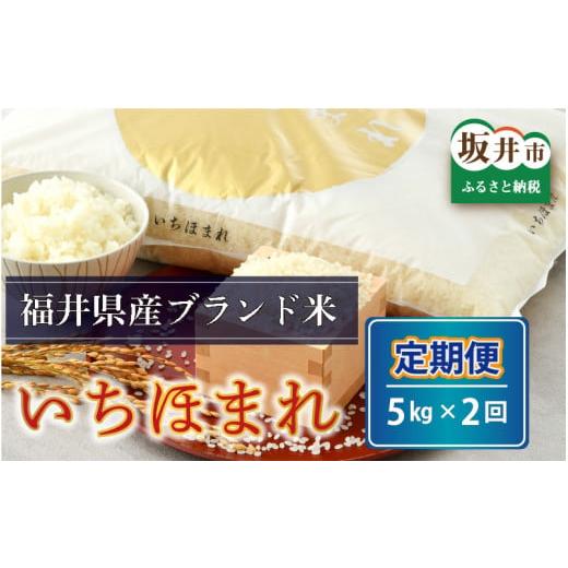 ふるさと納税 福井県 坂井市 さんさん池見二代目がお届けする 福井県産いちほまれ 5kg × 2回 計10kg（5分づき） [B-0210_03…