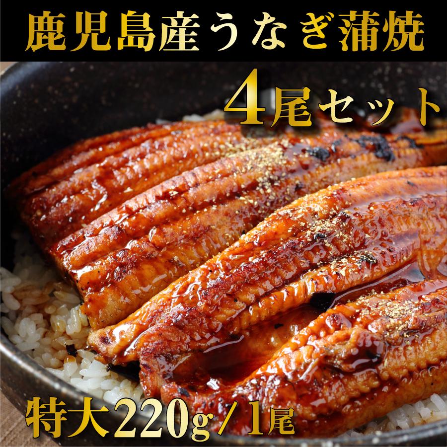 鹿児島産鰻蒲焼 有頭 4尾セット 1尾あたり220g前後  国産うなぎ