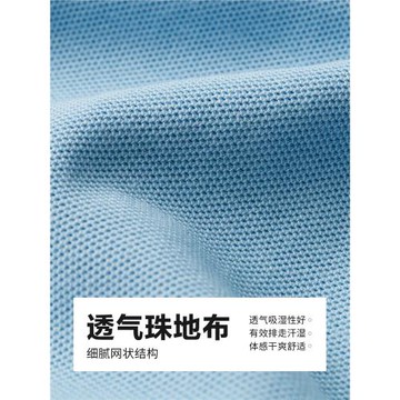 佐丹奴男士珠地布上衣短袖Polo衫