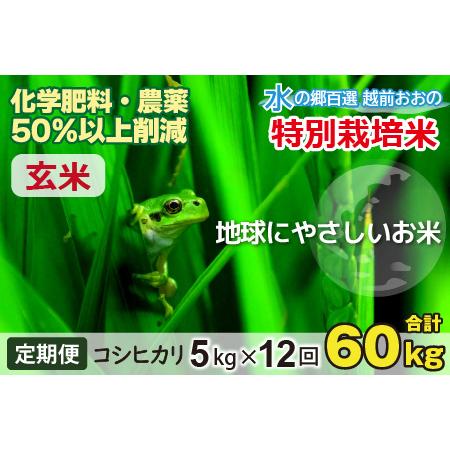 ふるさと納税 こしひかり 5kg × 12回 計 60kg減農薬・減化学肥料 「特別栽培米」−地球にやさ.. 福井県大野市