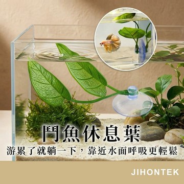 【JH小舖】鬥魚休息葉 鬥魚休息產卵葉 鬥魚床 鬥魚休息室 仿真葉子 繁殖 躲藏 休憩 植物 魚缸造景 築巢 仿真水草
