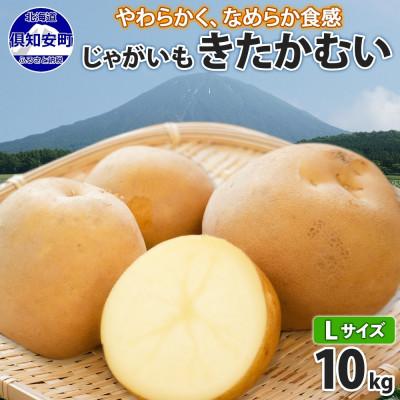 ふるさと納税 倶知安町 北海道倶知安町産 じゃがいも「きたかむい」Lサイズ 10kg 馬鈴薯 産地直送