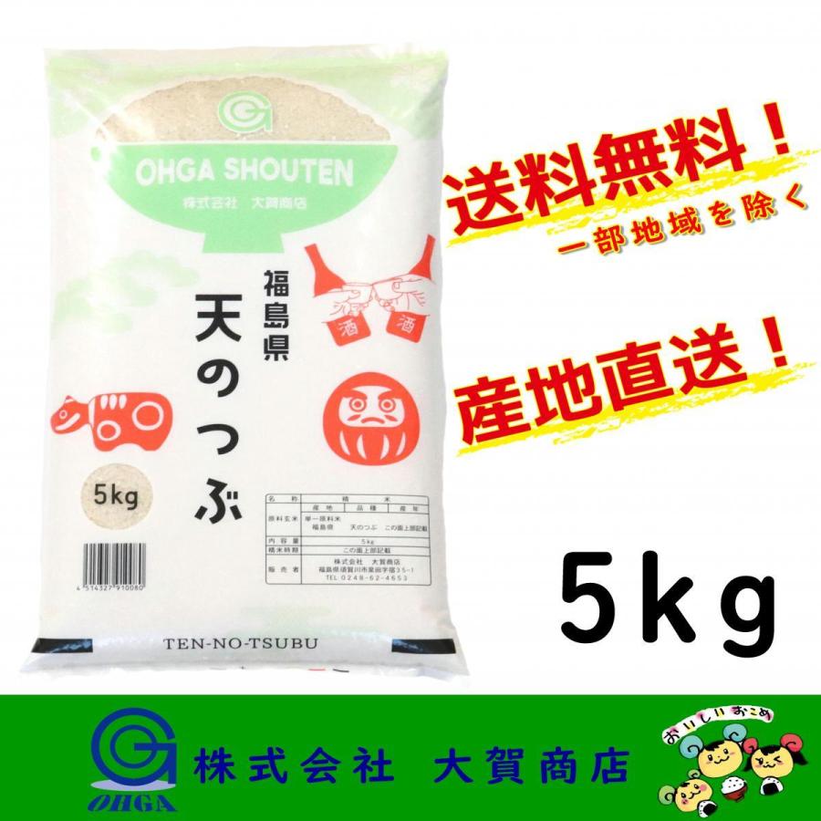 新米 5年産 お米 米 天のつぶ ブランド米 5kg 白米 安い 美味い 送料無料 福島県中通り産天のつぶ5kg