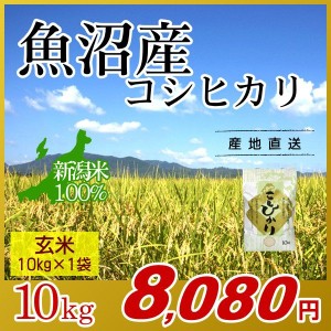 お米 10kg 玄米 魚沼産コシヒカリ 令和5年産 新米   米 最高級銘柄 新潟米 ブランド米 新潟 新潟県産 国内産 人気 おいしい こしひかり