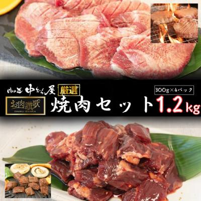 ふるさと納税 花巻市 肉の匠中むら屋厳選　お肉讃歌焼肉セット1.2kg